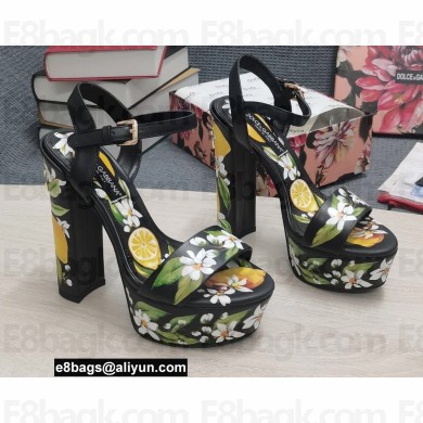 Dolce & Gabbana Heel 15cm platform 5cm sandals Print Black 2022