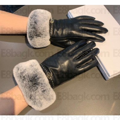 Dior Gloves D17 2022
