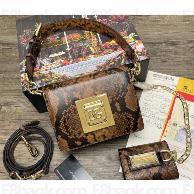 Dolce & Gabbana Small leather shoulder bag with DG fastening Python Print Brown