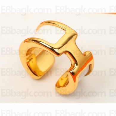 Hermes Earrings 06 2022