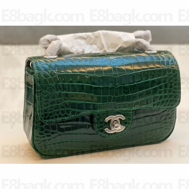 Chanel Classic Flap Small Bag 1116 In Niloticus 53 2023