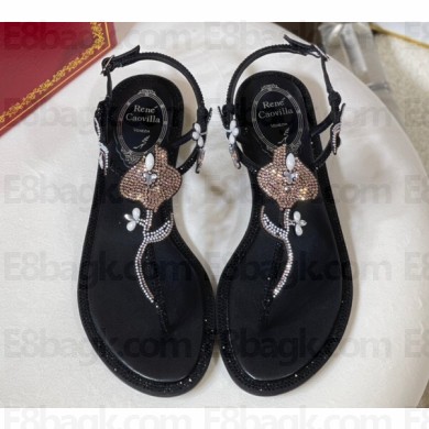 Rene Caovilla Flat flip flops Jewelled Sandals with Crystals and Pearl Black 2023