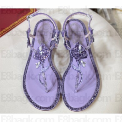 Rene Caovilla Flat flip flops Jewelled Sandals with Crystals and Pearl Purple 2023