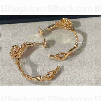 Dior Earrings 14 2023