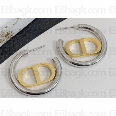 Dior Earrings 18 2023