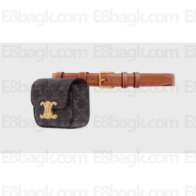 Celine BELT BAG TRIOMPHE BELT in in TRIOMPHE CANVAS AND CALFSKIN 2023