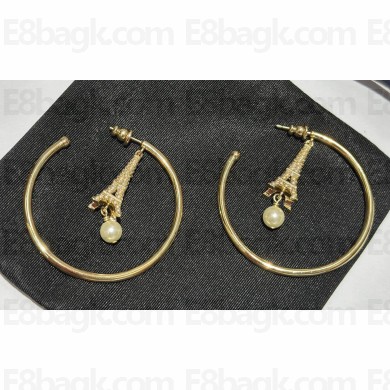 Dior Earrings 28 2023
