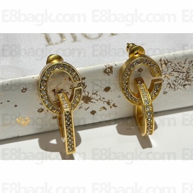 Dior Earrings 45 2023