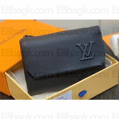 Louis Vuitton Cowhide leather Aerogram Slender Pilot Wallet M81740 Black 2024