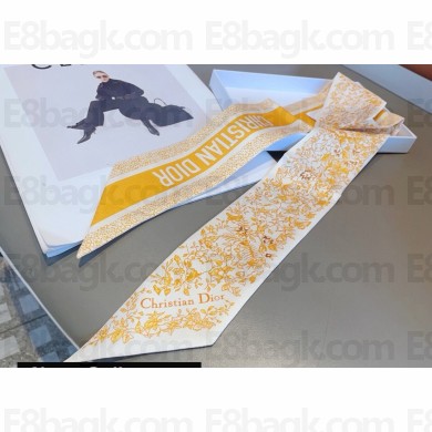 Dior Mitzah Scarf 6x100cm 240221 04 2024