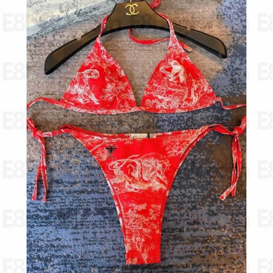 Dior Swimsuit 25 2024