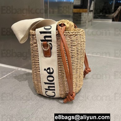 Cheap Sale Chloe Raffia Straw and Leather Small Woody basket Tote bag Beige/White 2024
