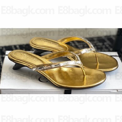 Cotemp Valeria Nubo Calfskin Leather Thong Sandals Gold 2024