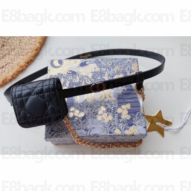 Dior Width 1.5cm Pouch Belt with Chain Black 2024