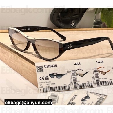 Chanel Acetate Square Sunglasses CH5436 01 2024