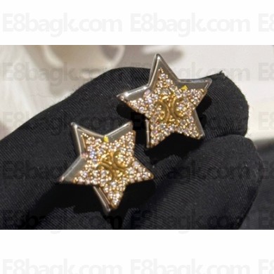 Celine Earrings 06 2024