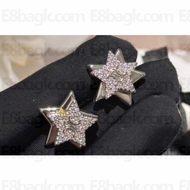 Celine Earrings 07 2024