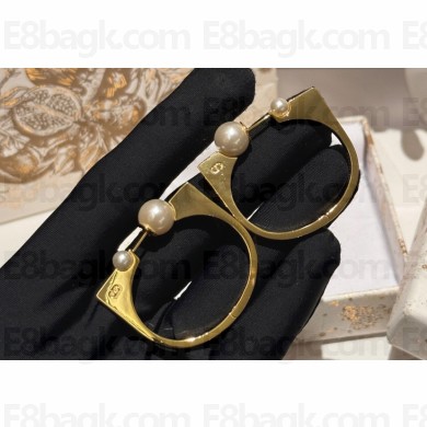 Dior Earrings 13 2024