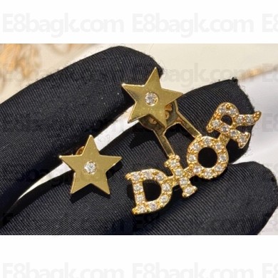 Dior Earrings 16 2024