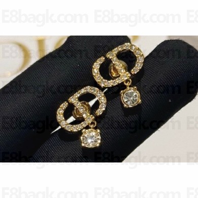 Dior Earrings 14 2024