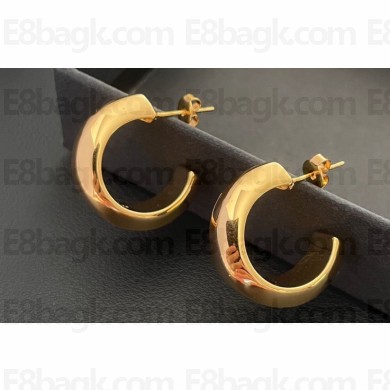 Saint Laurent Earrings 15 2024