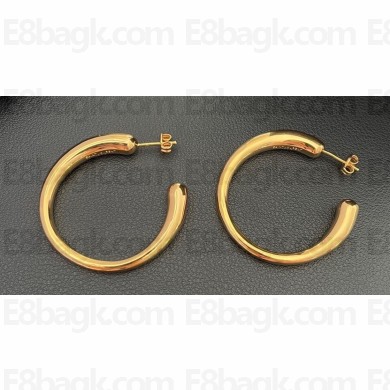 Saint Laurent Earrings 17 2024