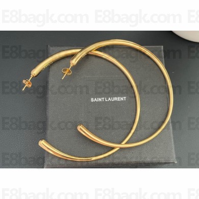 Saint Laurent Earrings 18 2024