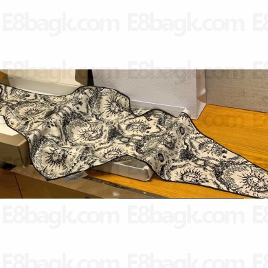 Dior Toile de Jouy Soleil Dior Diamond White and Navy Blue Silk Twill 35x110cm 2024