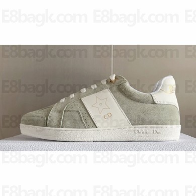 Dior Calfskin and Suede Star Sneakers Top Quality 06 2024