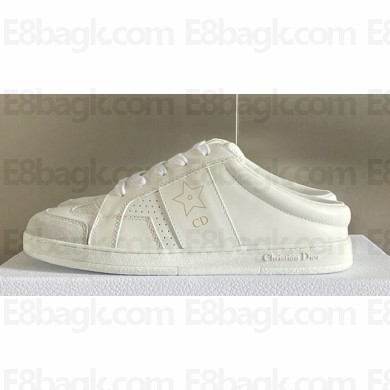 Dior Calfskin and Suede Star Slip-On Sneakers Top Quality 02 2024