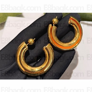 Gucci Earrings 06 2024