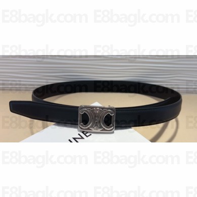 Celine Width 2.5cm Medium Reversible Framed Triomphe Belt In Taurillon And Natural Calfskin Black/Silver
