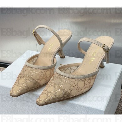 Dior Capture Pump mules beige mesh with drill heel 6.5cm 2025