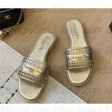Dior D-Lane Slide gold Calfskin with Openwork Microcannage Motif 1108-2024