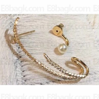 Dior Earrings 43 2019