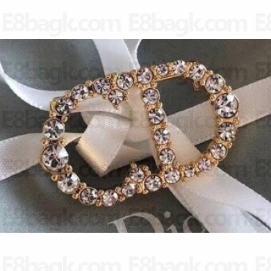 Dior Brooch 05 2019