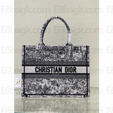 Dior Medium Book Tote bag in White and Black Paris Allover Embroidery  2024