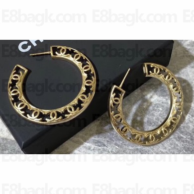 Chanel Earrings 325 2019