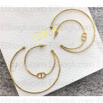 Dior Earrings 126 2019