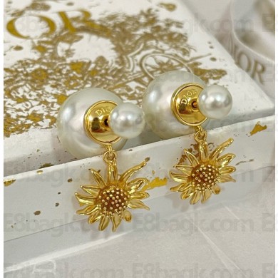 Dior tribales Earrings 03-2025