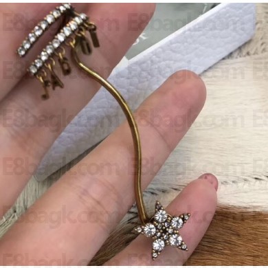 Dior Earrings 69 2019
