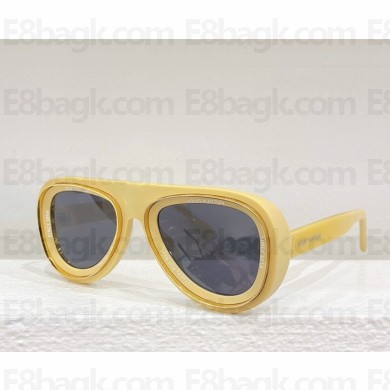 Louis Vuitton Sunglasses Z2445U-07 2024