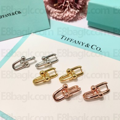 Tiffany HardWear Link Earrings