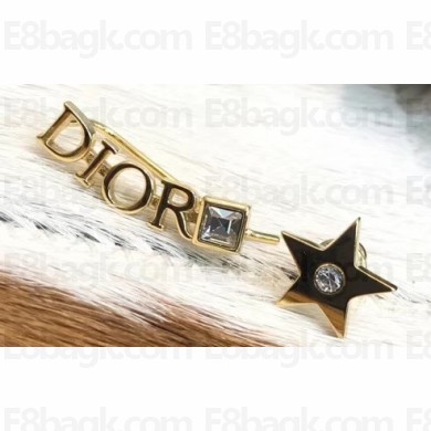 Dior Earrings 65 2019