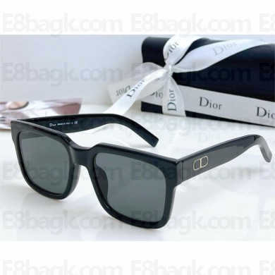 DIOR CD SIU SUNGLASSES 02 2024