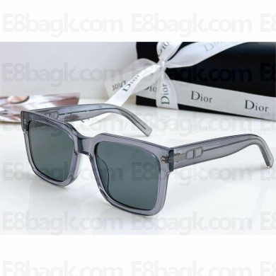 DIOR CD SIU SUNGLASSES 07 2024