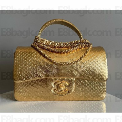 Chanel Mini Flap Bag with Top Handle in python leather AS2431 24 2024