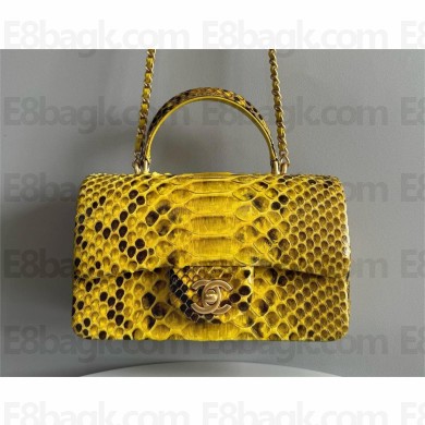 Chanel Mini Flap Bag with Top Handle in python leather AS2431 17 2024