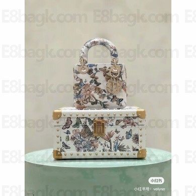 Dior Small Trunk Bag in White Multicolor D-Floral Embroidery 2025