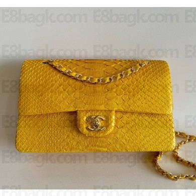 Chanel Python Medium Classic flap bag 1112 17 2024